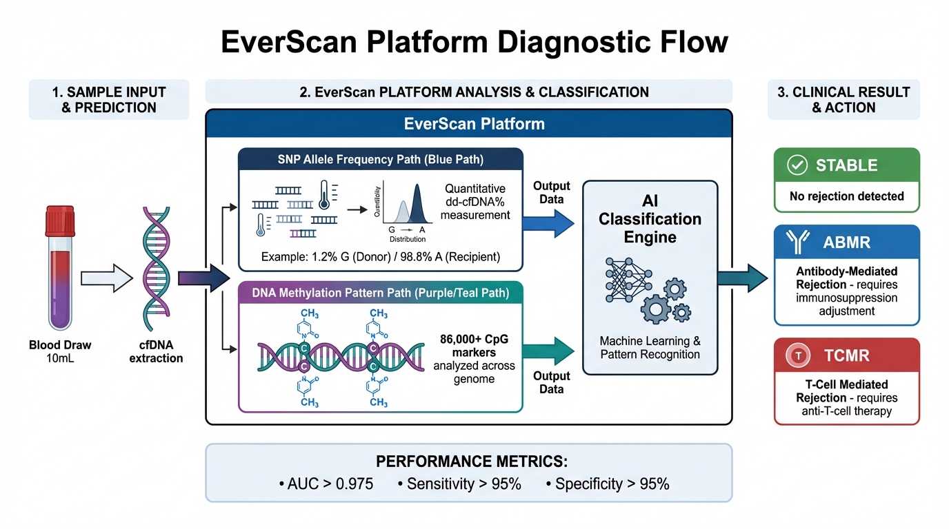 EverScan 플랫폼 분석 흐름도 — Platform analysis flow diagram